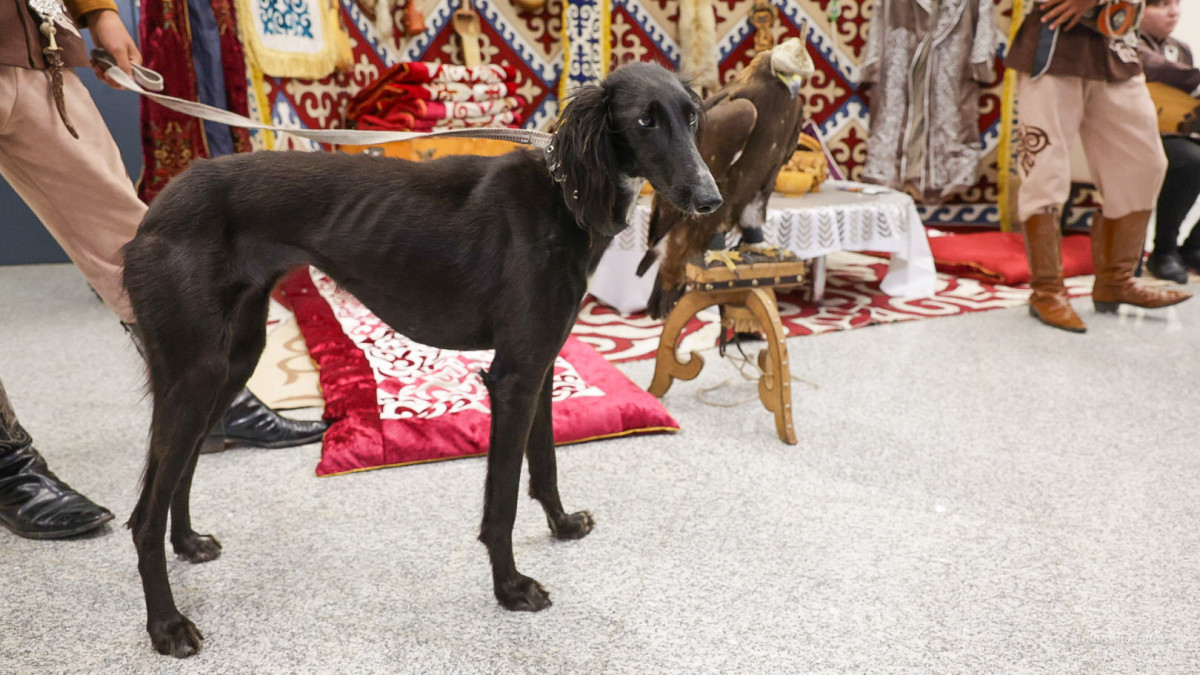 Қазақстанда тағы бір жаңа мереке пайда болмақ