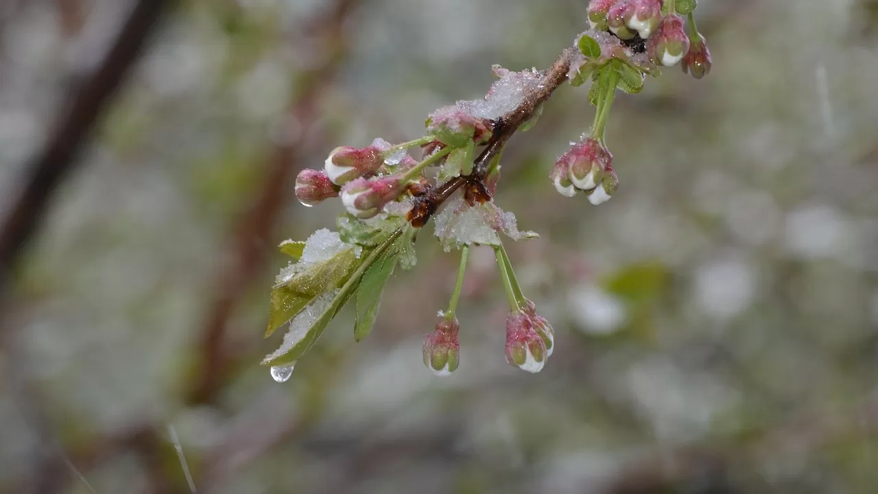 Заморозки до 2 &deg;С и снег обещают синоптики казахстанцам 