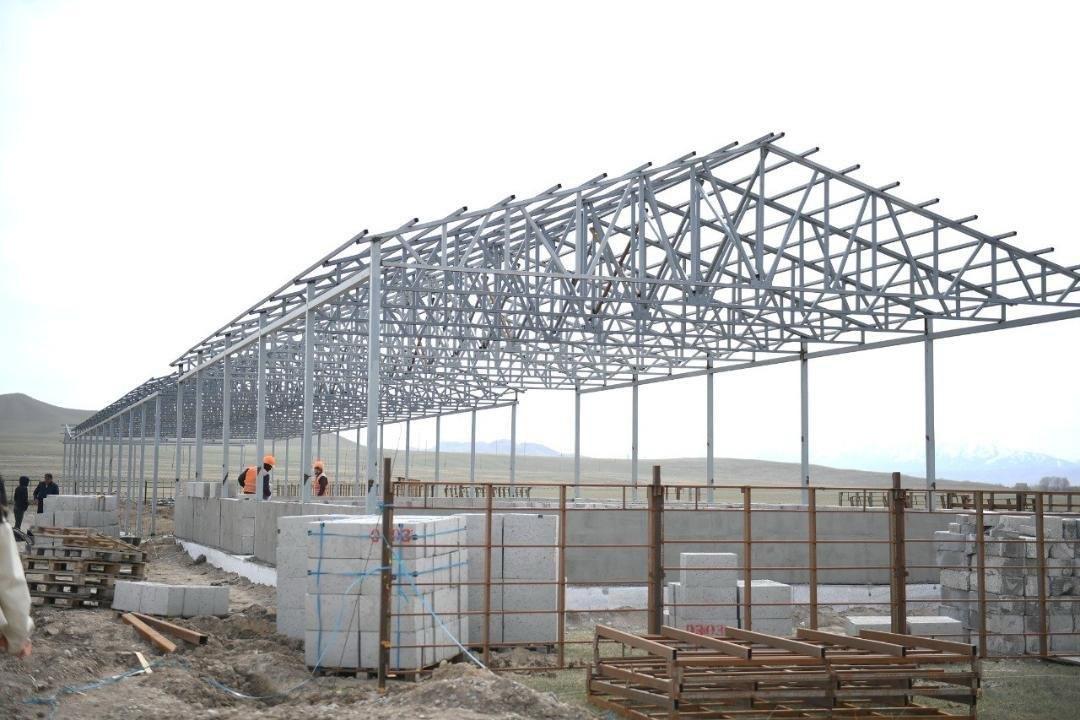 Алматы облысында жылына 2 мың тоннадан астам жүн өңдейтін зауыт салынады