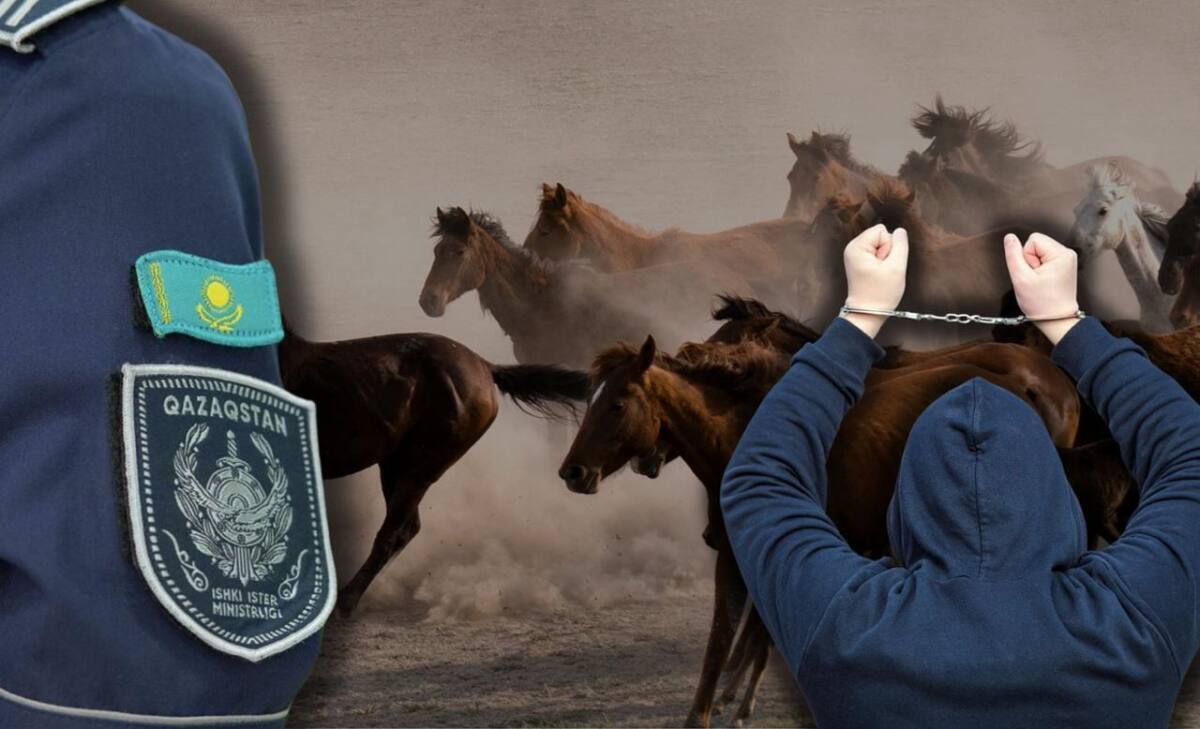 Түркістан облысында 1 мың малды заңсыз шекара асырмақ болған топ ұсталды