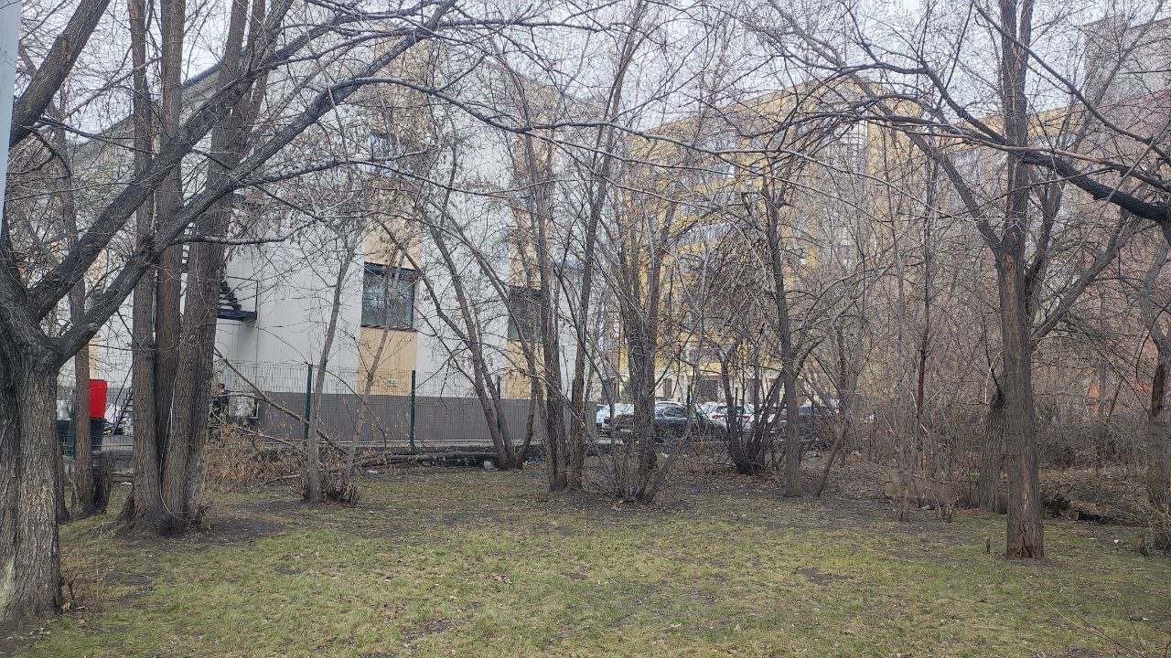 В Семее выставили на продажу часть Центрального парка за 2 млрд тенге