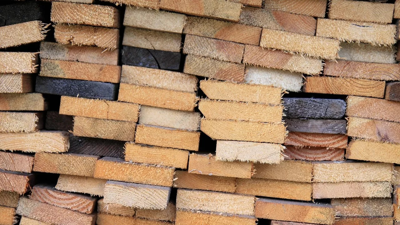 В Казахстан пытались завезти зараженные пиломатериалы  