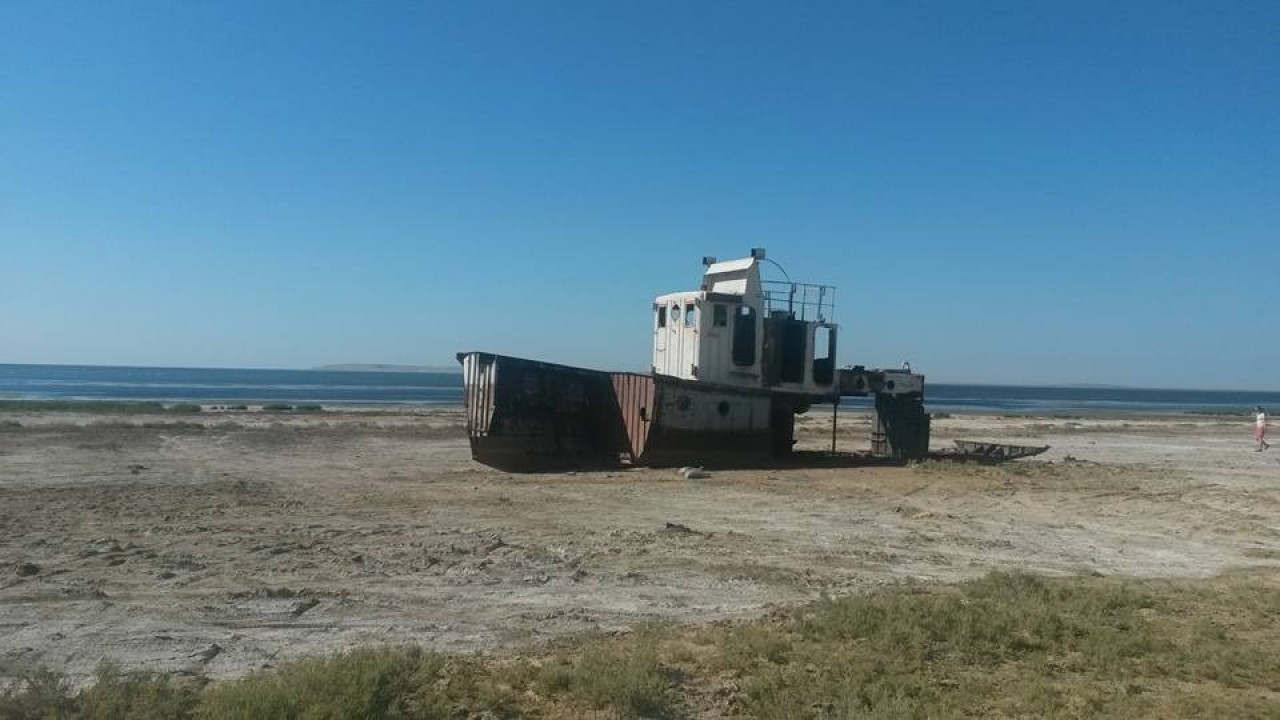 Арал теңізінің құрғаған жеріне өсімдіктер егіледі