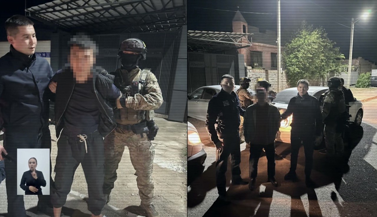 Барлығы 39 жылқыны ұрлаған: Жамбыл облысында 2 қылмыстық топ ұсталды