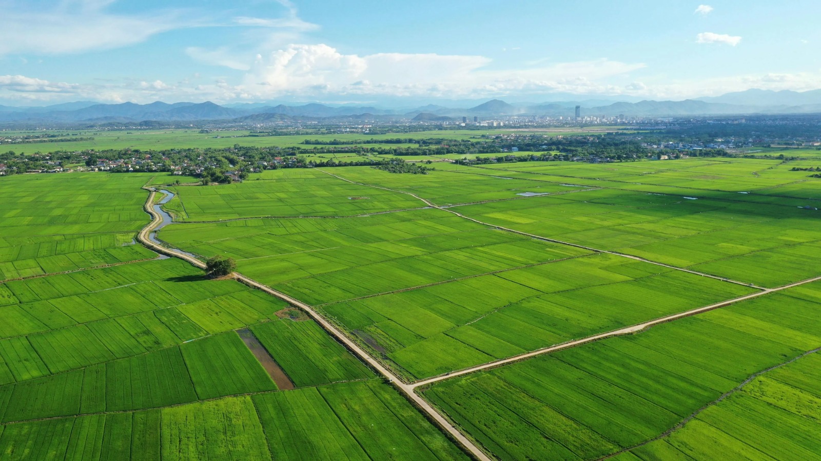 Алматыда 17 млрд теңгелік жер мемлекетке қайтарылды