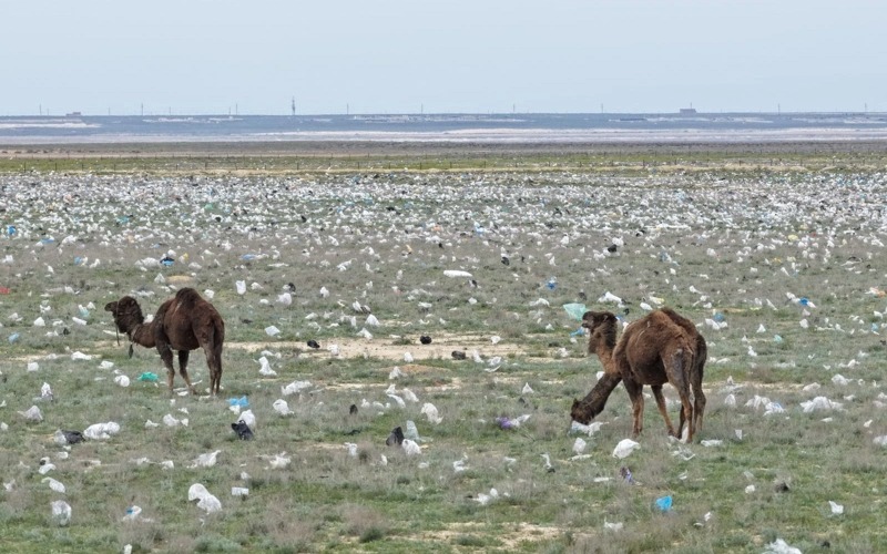 Маңғыстауда қоқыс желмен тарады: әкімдік түсініктеме берді