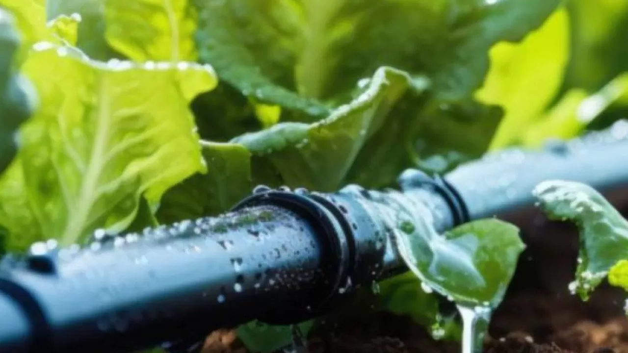 Водосбережение в Казахстане ускорили в 5 раз: что изменилось?  