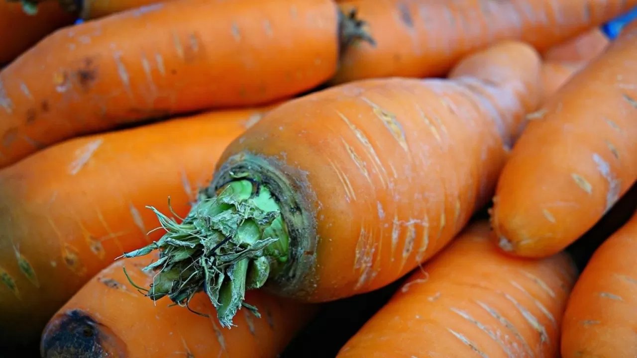 Овощехранилище за 600 млн получило "вторую жизнь"