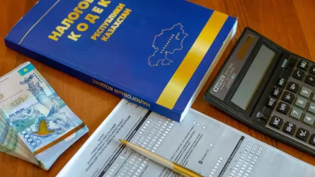 Фермеры под давлением Налогового кодекса: почему кооперативы становятся убыточными? 