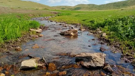 Тысячи казахстанцев вышли на уборку родников  