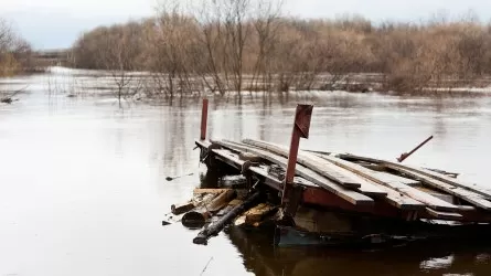 Как казахстанцам будут возмещать ущерб при ЧС  