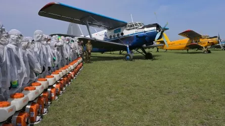 10 бортов малой авиации будут бороться с мошкой в Павлодарской области 