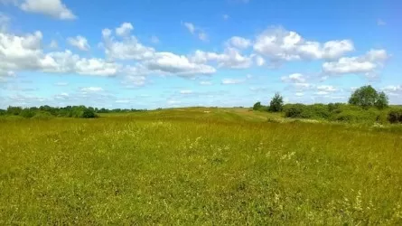Чиновники акимата ограничили в правах жамбылских фермеров