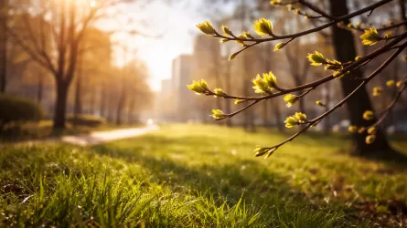 Потеплеет до +30, но не во всех регионах РК 