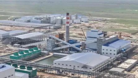 Первые в Центральной Азии: в Казахстане начали производить уникальные аминокислоты