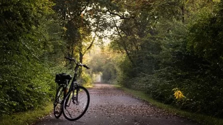 Как Париж стал городом для людей  