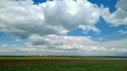 На севере Казахстана десятки сельхозземель лежат мертвым грузом 