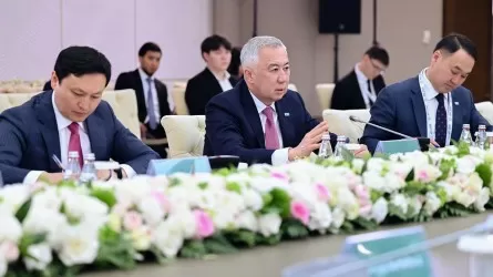 Казахстан и ПРООН обозначили приоритеты: устойчивое развитие, регионы и &laquo;зеленая&raquo; трансформация