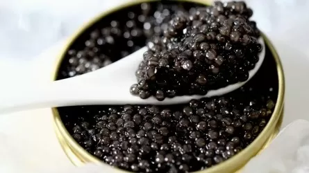 Казахстанская госкомпания пыталась закупить осетровую икру на бюджетные миллионы