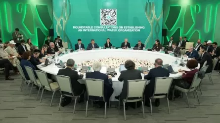 Управлять водой на международном уровне предложил Казахстан 