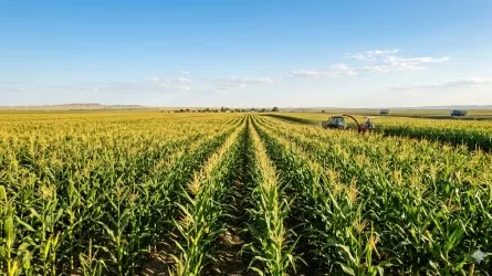 Китай может изменить облик одного из регионов Казахстана