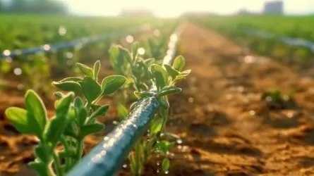 Посевная-2026: ставка на экономию воды  