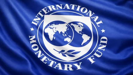 В Алматы запустили центр МВФ: кого он объединит и зачем нужен Казахстану 