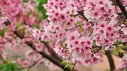 26 апреля отмечается Международный день интеллектуальной собственности