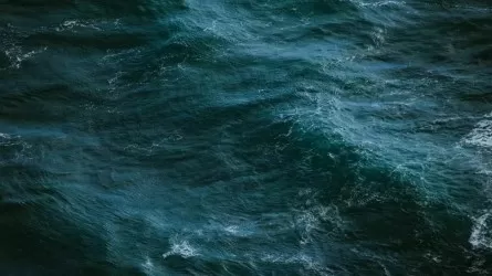 Крушение в Азовском море: у берегов Херсонской области затонул сухогруз с пшеницей