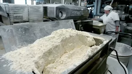 Конаев формирует агропромышленный кластер с экспортом в Китай 