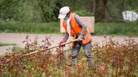 Казахстан уступает соседним республикам по этому важному показателю экономики 