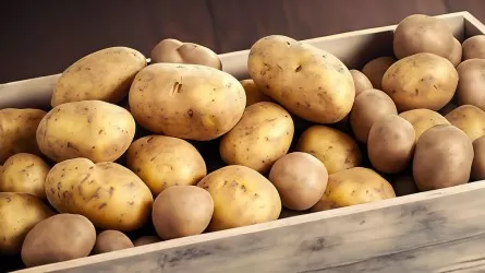 Новый механизм продажи одного из ключевых продуктов вводят в Казахстане