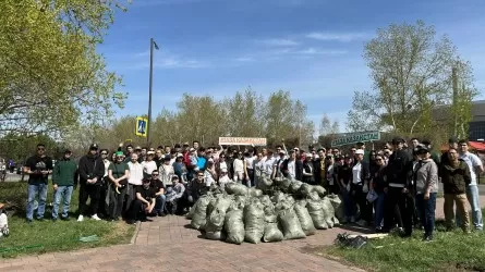  PTC Holding провела субботник в центральном парке Астаны