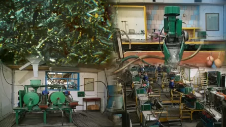 В Казахстане нашли способ переработки отходов при добыче барита  