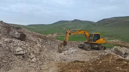 Незаконных добытчиков барита наказали в Туркестанской области  