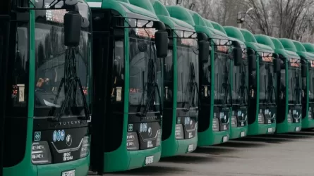 Новый автобусный маршрут запустят в Алматы