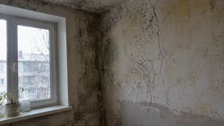 Жители села Кызылжар бегут из арендного жилья