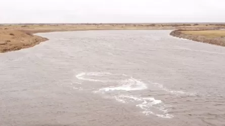 Воду пустили в пустыню: зачем это сделали?  