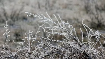 Снег и заморозки: в Казахстане объявили штормовое предупреждение на 18 апреля