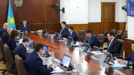 Снизить нагрузку на фермеров: Бектенов поручил найти деньги 