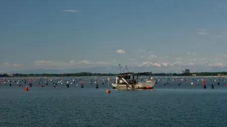 Рыба или климат: что выбирает рынок  