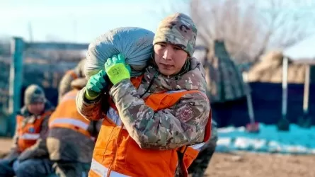 Как МЧС РК спасает казахстанцев от прихода большой воды 