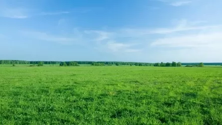 Суд лишил казахстанца выданной под многоквартирный ЖК земли