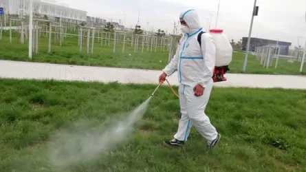 Десять этапов борьбы: акимат Шымкента идет в наступление на комаров и клещей