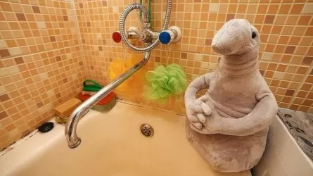 Без воды и света будут астанчане 3 апреля, но не все 