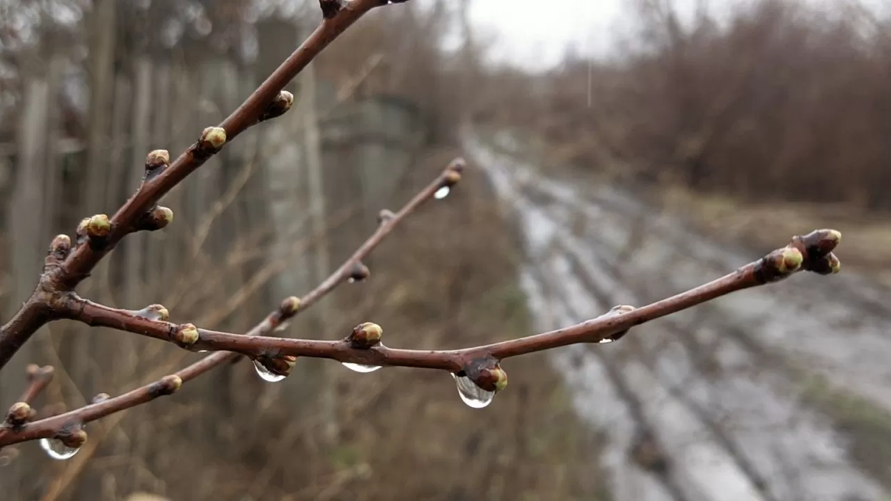 Какая погода ждет Астану, Алматы и Шымкент в ближайшие дни 