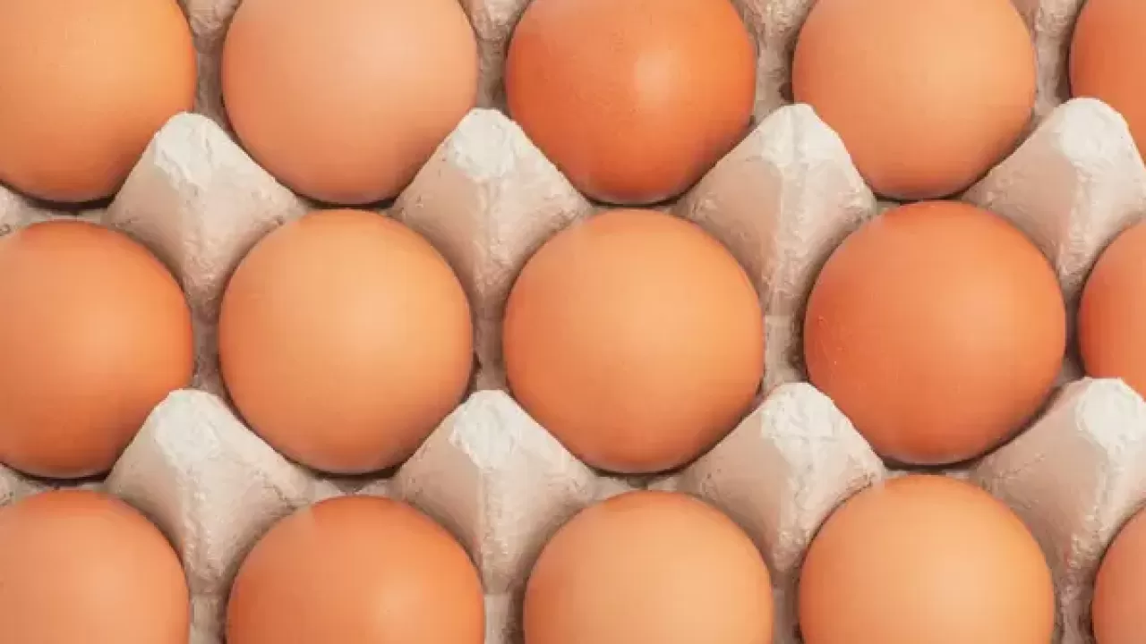 Соответствуют ли яйца весу: итоги проверки в торговых сетях