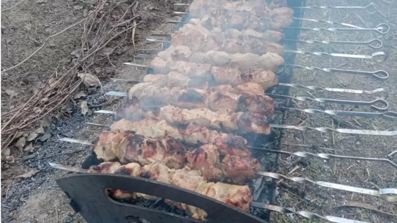 Как распознать некачественное мясо для шашлыка