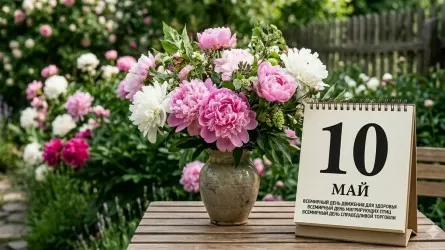 10 мая отмечается Всемирный день движения для здоровья