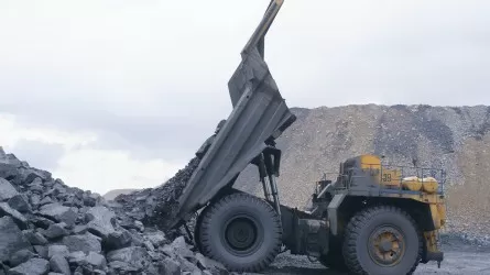 Десятки фактов незаконной добычи полезных ископаемых пресекли в области Жетысу  
